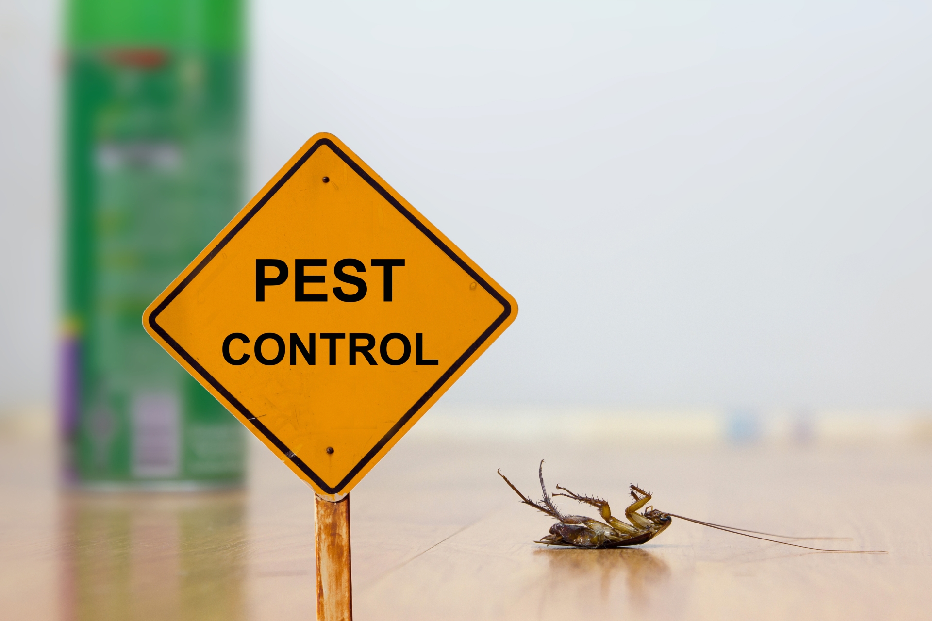 24 Hour Pest Control, Pest Control in Wembley Park, HA9. Call Now 020 8166 9746